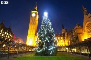 Residents of Westminster properties near Houses of Parliament flock to admire the Christmas tree placed outside this iconic building