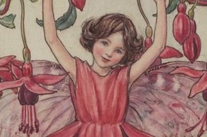 The Fuchsia Fairy Intro Image